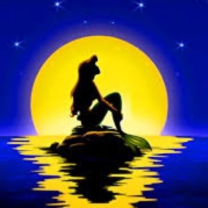 Meet your Posher, Luz